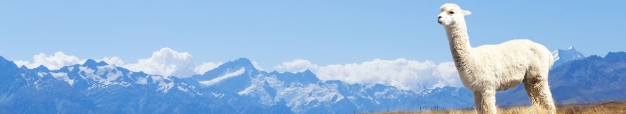 Kurzurlaub im Allgäu: mit Kind und Kegel eine gute Idee