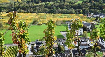 Die Regionen rund um die Eifel 