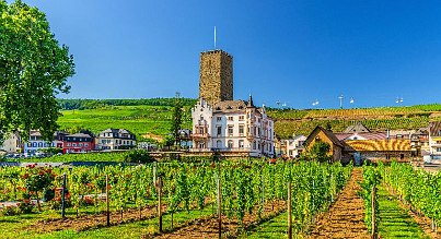Kurzurlaub Hessen: Weinfelder im Rheingau