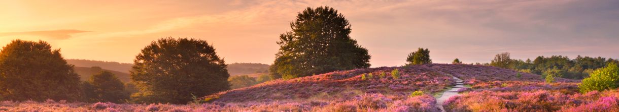 Kurzurlaub in der Lüneburger Heide