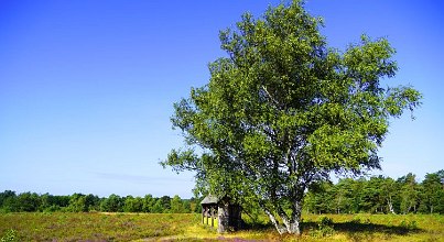 Auf einen Kurztrip: Niedersachsens Süden