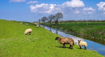 Auf in den Nordsee-Kurzurlaub: Norddeich für die ganze Familie
