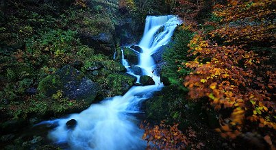 Die Triberger Wasserfälle dürfen auf Ihrer Kurzreise in den Schwarzwald nicht fehlen