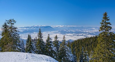 2. Die Schönheit der Natur entdecken