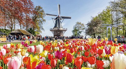 Keukenhof Tickets