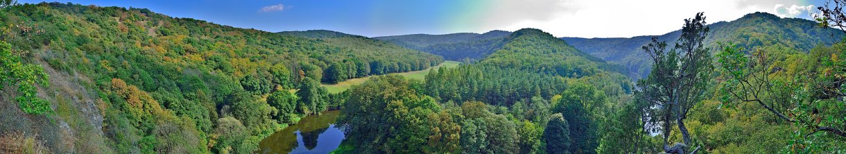 Die urwüchsigen Wälder Österreichs im Nationalpark Thayatal erkunden