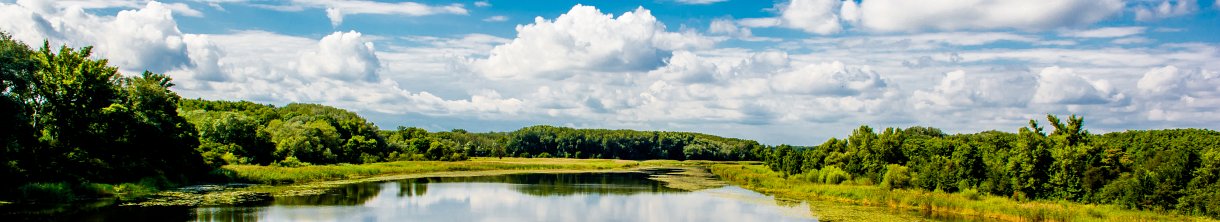 Idyllischer und dschungelartiger Nationalpark: Österreichs Donau-Auen