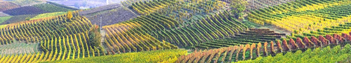 Genussregion Piemont: Geheimtipps für Ihre kulinarische Reise