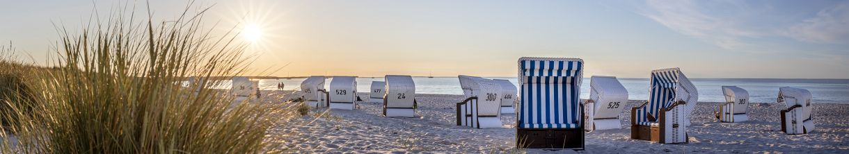 Natur, Geschichte, Badekultur und die Top 5 von Prerows Sehenswürdigkeiten