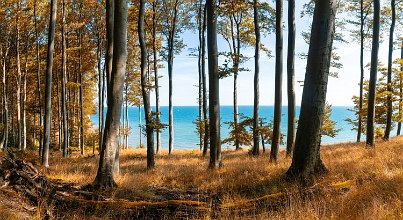 Idyllische Naturhighlights: die Insel Hiddensee