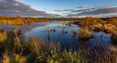 Das Himmelmoor – natürliches Hochmoor
