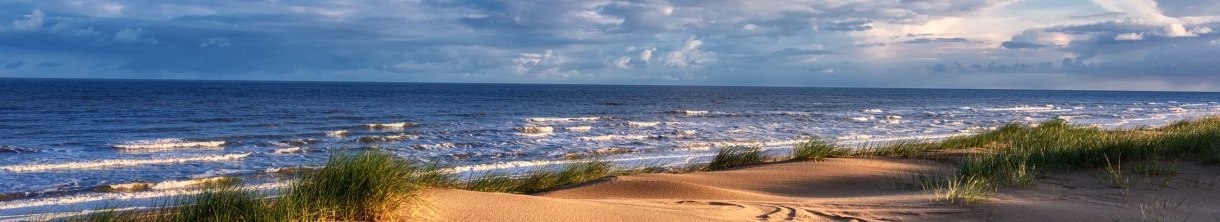 Holland am Strand erleben: Die 8 schönsten Strände unseres Nachbarlandes