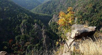 Der Harzer Hexenstieg: Mystik und Natur vereint 