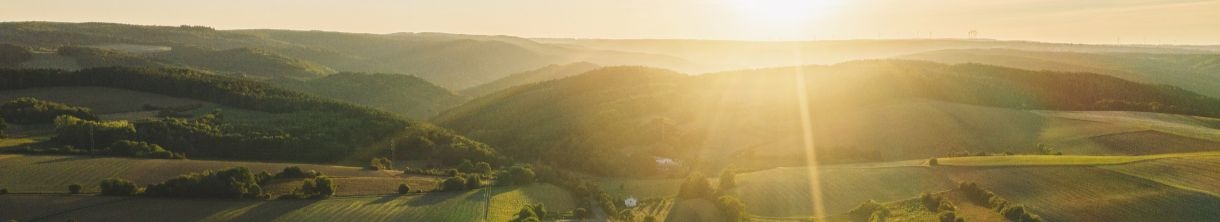 Der Eifelsteig: abwechslungsreiche Entdeckungstouren 