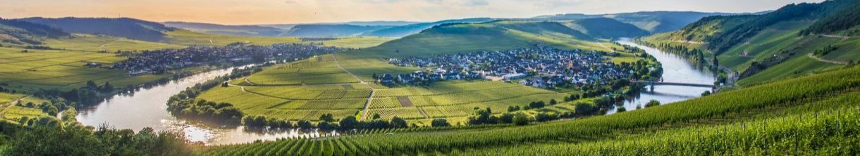 Der Moselsteig: der Wanderweg mit spannender Abwechslung 