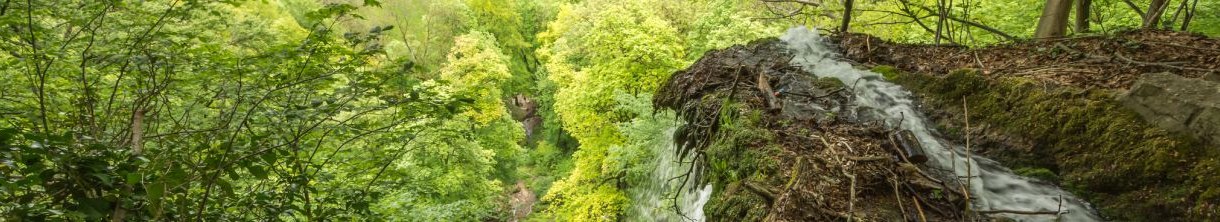 Uracher Wasserfälle: dem murmelnden Brühlbach hinterher