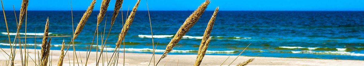 Die polnische Ostseeküste mit ihren Dünen