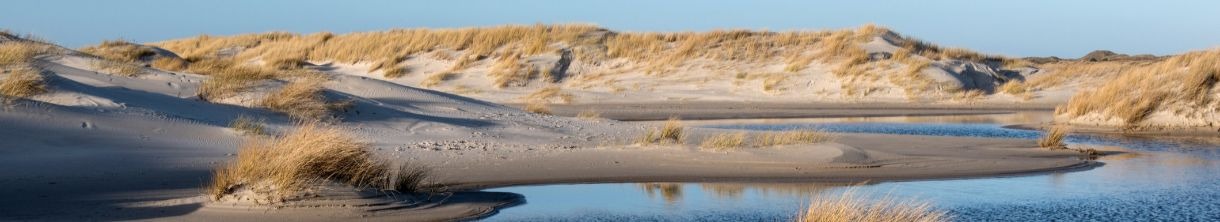 Kniepsand auf Amrum