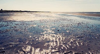 Urlaub am Wattenmeer