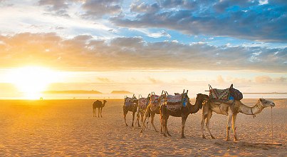 Pauschalreisen Tunesien