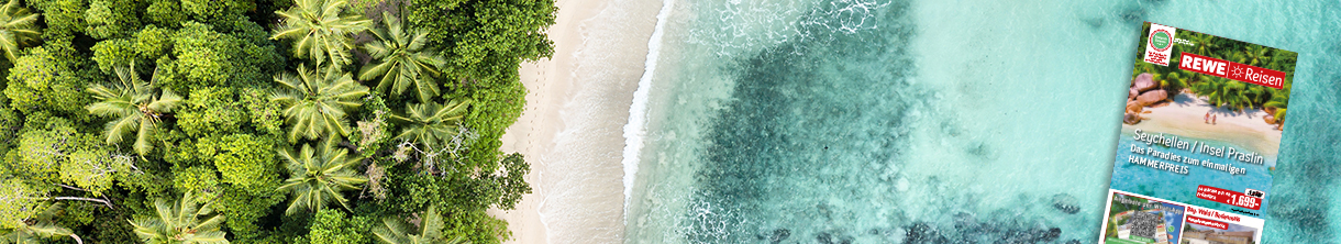 Reiseprospekt August 2024