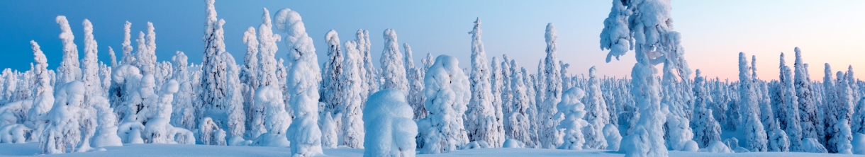 Spaßiger Urlaub im Schnee