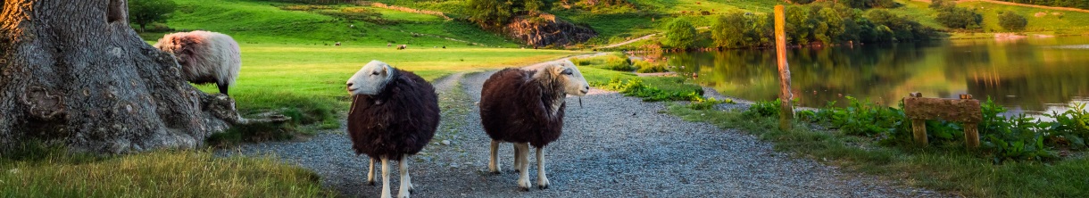 Südengland Rundreise 