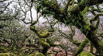 Attraktionen im Nationalpark Dartmoor
