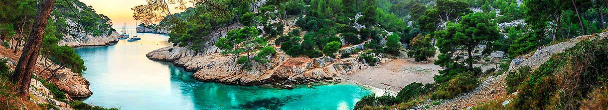 Vier Segelboote liegen in einer Bucht mit klarem Meerwasser, umgeben von Wald. 