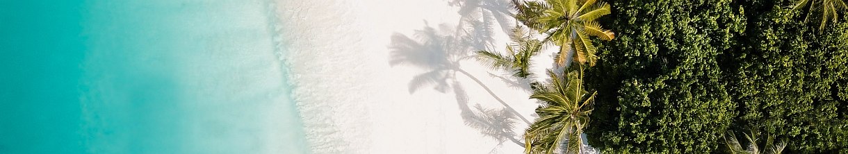 Supermarkt Discount Reisen