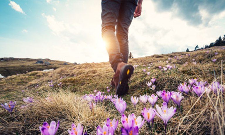 Aktivurlaub Frühling