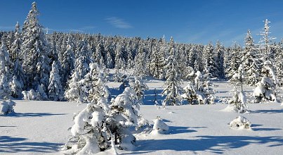 Einfach magisch: Harz-Urlaub mit Kindern im Winter