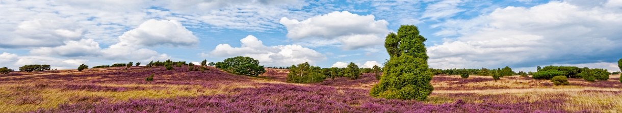Familienurlaub Niedersachsen