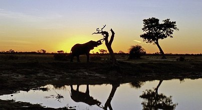Fernreise Südafrika