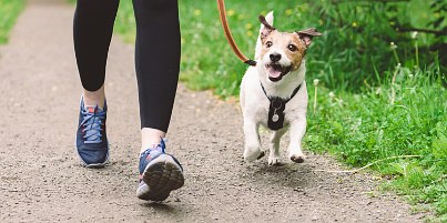 Lindner Hotel Familienzeit in Lindner Hotels