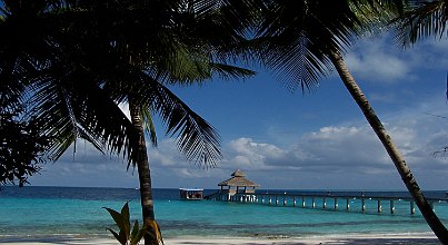 Last Minute Malediven Reethi Beach