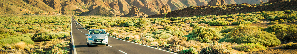 Reisen inklusive Mietwagen