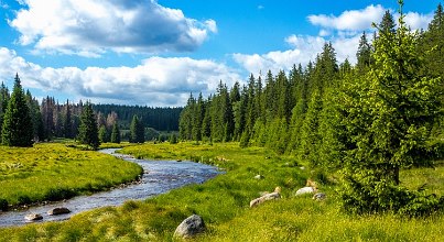 Nationalpark Müritz