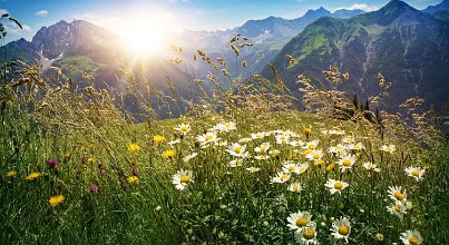 Wellness in Bayerns Bergen