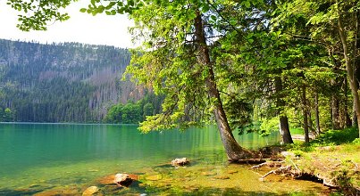 Trinkkuren aus Mineralquellen