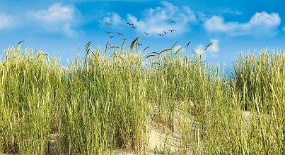 Die Wellnesshotels für Ihr Wellness-Wochenende in Ostfriesland