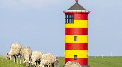 Das Angebot für Wellness an Ostfrieslands Küste