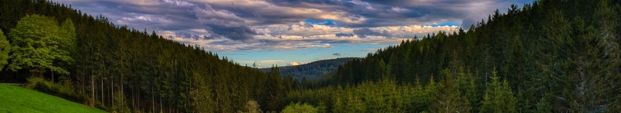 Entspannung im Grünen samt Wellness: Thüringer Wald