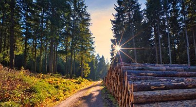 Wintersport und Wellness: Oberhof 