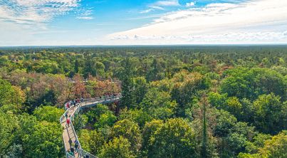 Wellnessurlaub Brandeburg Canopy Walk Beelitz