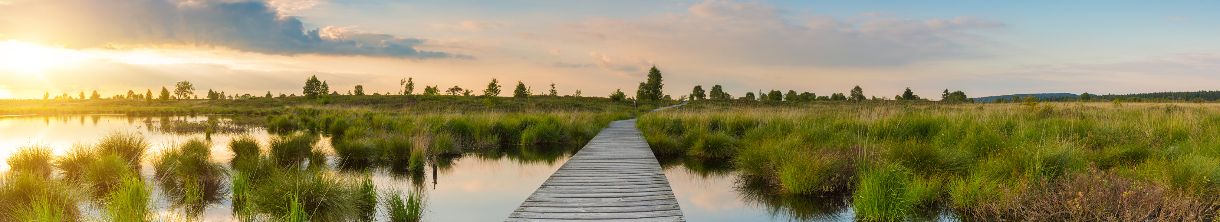 Wellnessurlaub Deutschland – Ihre erholsame Auszeit 