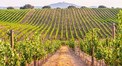 Wellness in Mitteldeutschland