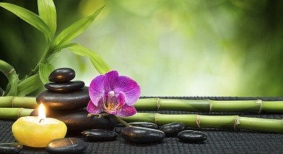 Wellness