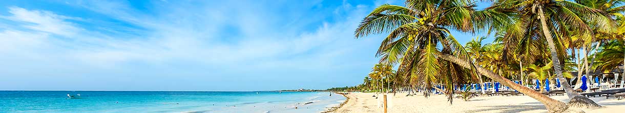 Zwei Palmen, Sandstrand und blauer Himmel in Mexiko. 