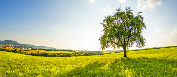 Urlaub Schwäbische Alb